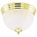 Westinghouse Light B 67315 Ceiling Fixture