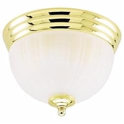 Westinghouse Light B 67315 Ceiling Fixture