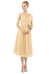 V-neck Vintage Tulle Cocktail Sleeveless Evening Dress/Prom Dress/Wedding Party Dress 