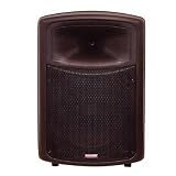Soundlab Black High Quality 300W ABS Plastic 15 Full Range Cabinet. Boxed