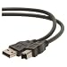 Dayton USB21050 USB 2.0 Cable A to B Black 5m (16 ft.)