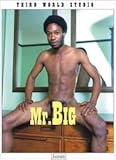 Mr. Big: Third World Studio, Vol. 1