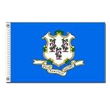 Connecticut Flag