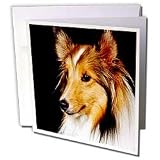 Dogs Sheltie/Shetland Sheepdog - Sheltie Shetland SheepDog - Greeting Cards-6 Greeting Cards with envelopes