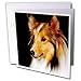   - Dogs Sheltie/Shetland Sheepdog - Sheltie Shetland SheepDog - Greeting Cards-12 Greeting Cards with envelopes