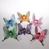 5 Majestic Butterfly