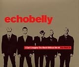 ザ・ベスト・オブ・エコーベリー