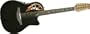 Adamas 1598 Melissa Etheridge Signature Model 12-String Ac-Electric -Graphite