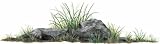 Walls of the Wild Rock Grass