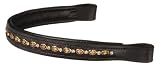 Browband w/Clear Jewels and Gold Circle Accents