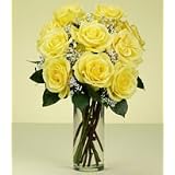 Roses - One Dozen Long Stemmed Yellow Roses