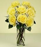 Roses - One Dozen Long Stemmed Yellow Roses