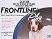 6 MONTH Frontline PLUS Blue for Dogs 23-44 lbs