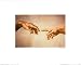 The Creation of Adam by Michelangelo Buonarroti. Size 12.45 inches width by 8.05 inches height. High Quality Art Poster Print