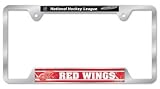 DETROIT RED WINGS NHL Hockey Metal Car Auto LICENSE PLATE FRAME New