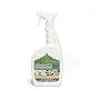 Seventh Generation Carpet, Spot & Stain Remover, White Flower & Bergamot Citrus, 32-Ounce Bottles (Pack of 6)
