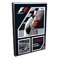 F1TM 2009 Season Review DVD - Region 2 PAL