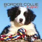 Border Collie Puppies Mini - 2008 Calendar - Breeds - Border Collie