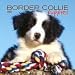 Border Collie Puppies Mini - 2008 Calendar - Breeds - Border Collie