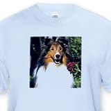 Shetland Sheepdog - Toddler Light-Blue-T-Shirt (4T)
