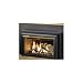 Napoleon Gdizc 25-inch Natural Gas Fireplace Insert