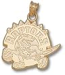 Toronto Raptors Logo 5/8". Charm/Pendant -14K/10K, Stainless Steel or Gold Plated
