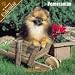   - 2008 Pomeranian 2008 16 Month Wall Calendar **IN STOCK NOW**