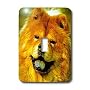 3dRose LLC lsp_451_1 Chow Chow, Single Toggle Swit&hellip by 3dRose