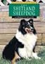 The Shetland Sheepdog (Learning about Dogs)