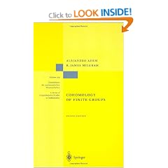 Cohomology of Finite Groups (Grundlehren der mathematischen Wissenschaften)
