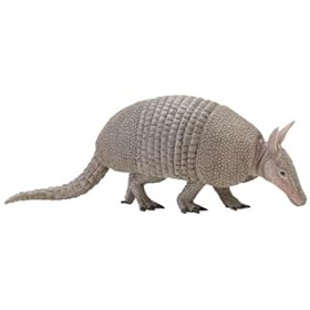  Safari Incredible Creatures: Armadillo