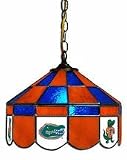 Florida Gators MVP 14" Executive Swag Hanging Stained Glass Lamp