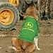 John Deere Dog Bandanas - JOHN DEERE T-SHIRT FOR DOGS  X-LARGE