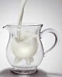 Calf & Half Milchk�nnchen