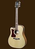 Acoustic-Electric Guitars