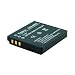 Battery for Panasonic Lumix DMC-FS5 (700 mAH, DENAQ)