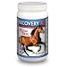 Recovery EQ