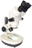 Z2 Zoom Binocular Stereoscope on dual light stand