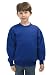 Search : Hanes Youth 7.8 oz 50/50 Crewneck Sweatshirt