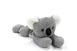 Plush Kipper Bean Filled Koala 8