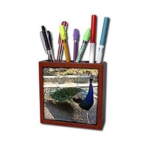 Lee Hiller Photography Garvan woodland Gardens Wildlife Peacock Tile Pen Holders-5 inch tile pen holder