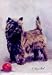 Ruth Maystead Cairn Terrier Magnet
