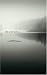 Books : This Wild Silence: A Novel