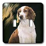 Dogs English Springer Spaniel - Welsh Springer Spaniel - Light Switch Covers - double toggle switch