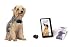 PetSafe Ultralight Sonic Bark Collar