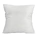Anime Dramatical Murder DMMD NOIZ Clear Noiz Square Stuffed Plush Pillow (Noiz)