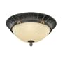 Thomas Lighting M2883-40 Reed and Ribbon - Two Light Ceiling Mounted Fixture, Burnished Umber Finish with Twisted Painted Glass