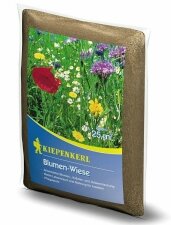 Rasenmischung Blumen-Wiese