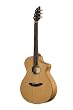 Breedlove Passport C250/CO Guitar