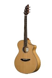 Breedlove Passport C250/CO Guitar